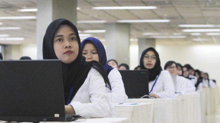 BKN Siapkan Infrastruktur Seleksi Penerimaan CPNS 2018